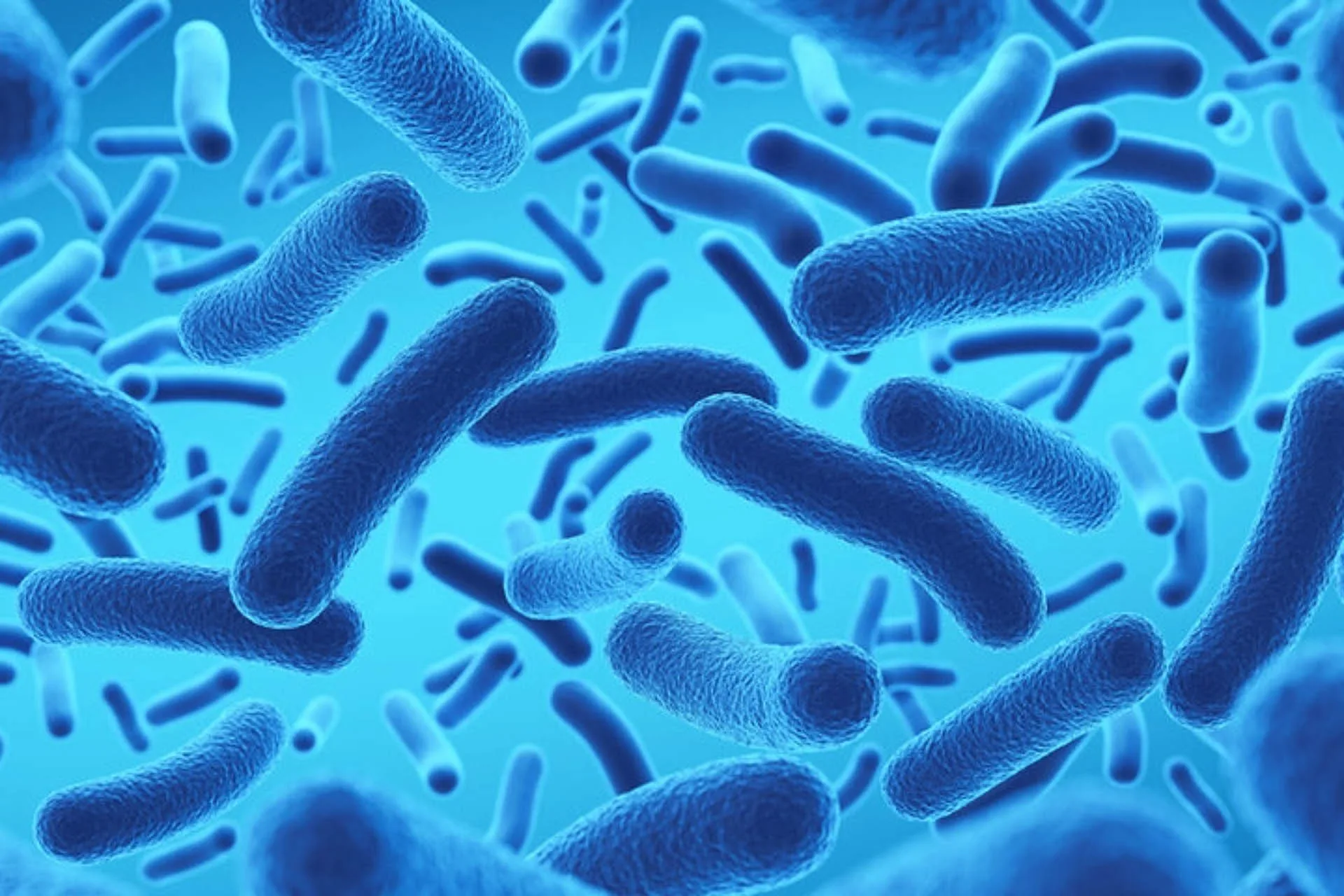 gut microbiota IBS dietitian in California and Europe